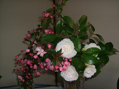 2006_0325画像00651.JPG