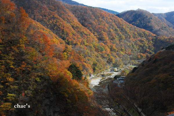DSC_0167ok.jpg