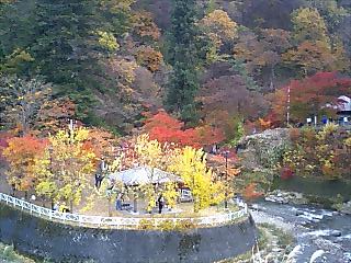 中野もみじ山