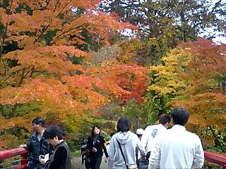 中野もみじ山