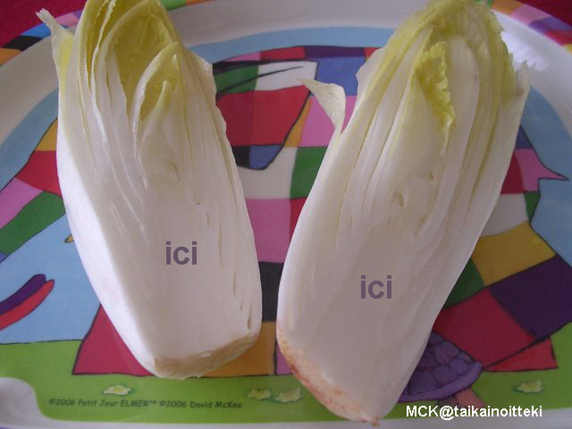 endive_2.jpg