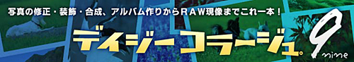 デイジーコラージュ9