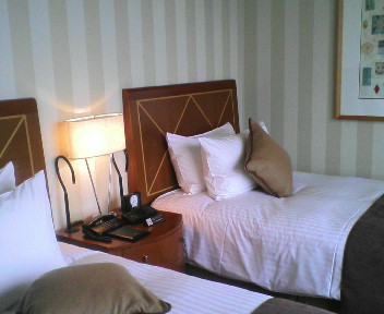 帝国ホテルお部屋２