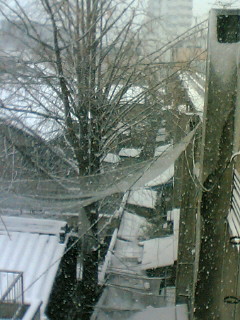 雪6