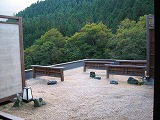 IMG_2261.jpg