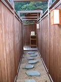 IMG_2262.jpg