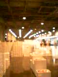060520_0131~01.jpg