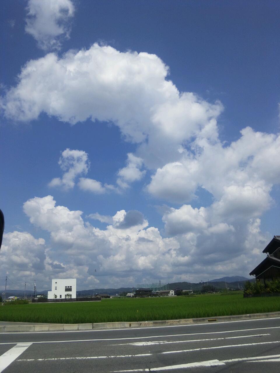 20110925_172347.jpg