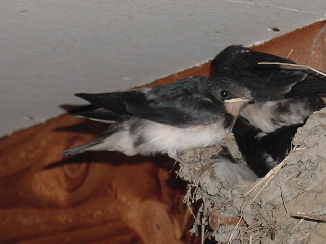 20050727寝ているところです！