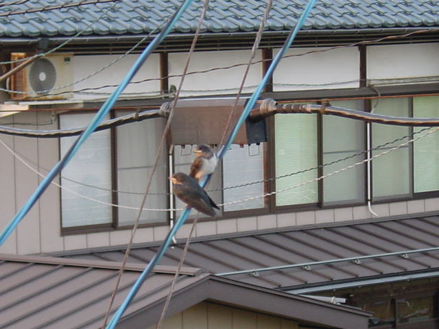 20050728夕焼けを見ている子供達