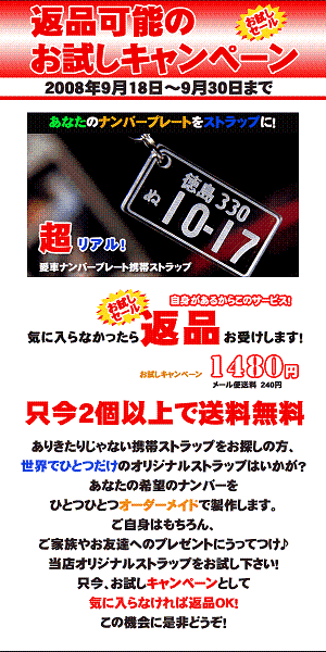 【返品可能！お試しキャンペーン】愛車プレートを刻んだ世界にひとつだけのオリジナル携帯ストラップ