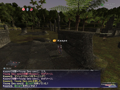 マジックフルーツ、ラーニング