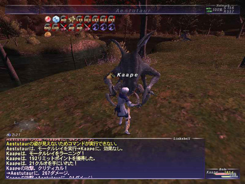 モータルレイ-20111023