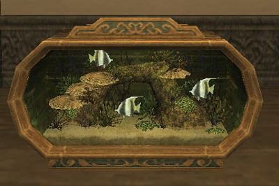 アクアリウム〔海〕