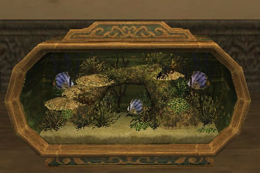 アクアリウム〔礁〕