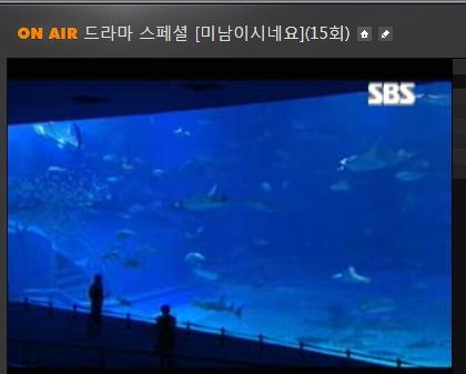 美人海水族館1.jpg