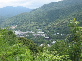 IMG_2007.jpg