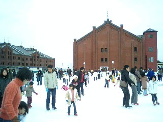 CA330377-0001.JPG