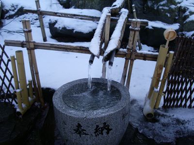 IMGP0060.JPG