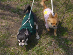 2009.04.19.4.jpg
