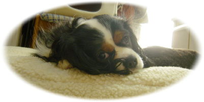 ・・・・・・・・