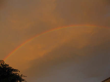 2009july19rainbow.jpg