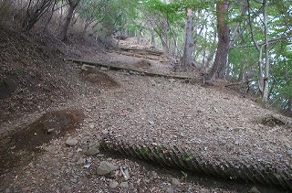 大倉尾根