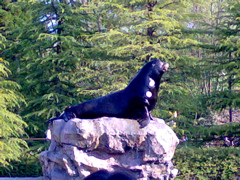 20070429247.jpg