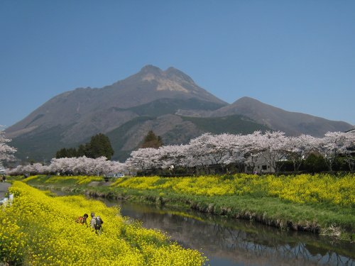 由布岳：2011年4月12日