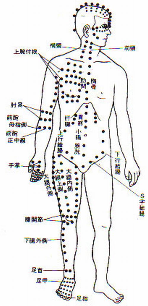 正面からの指圧ポイント