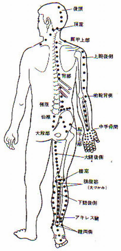 背面からの指圧ポイント