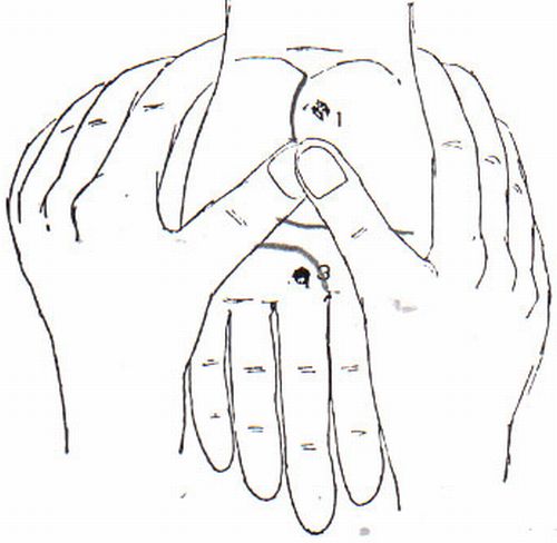 手の平の指圧ポイント