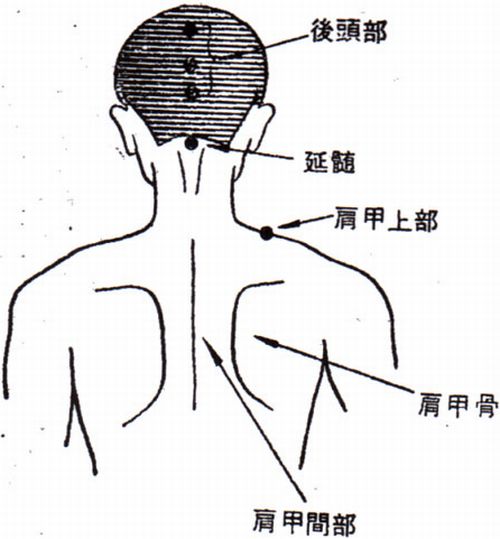 低血圧の指圧ポイント2