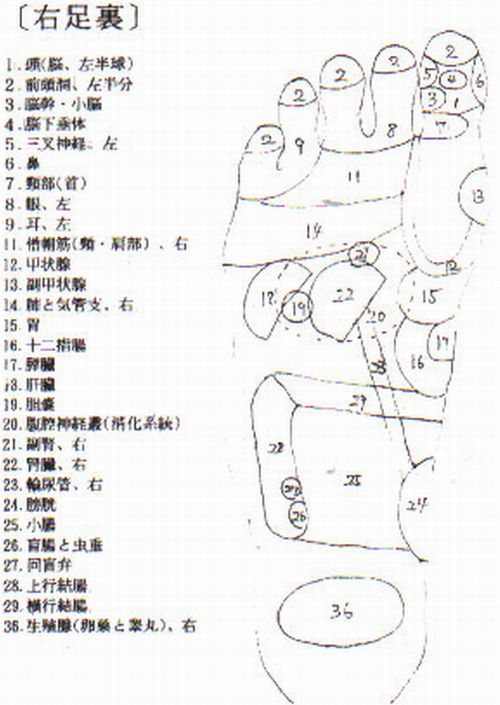 右足裏指圧のポイント