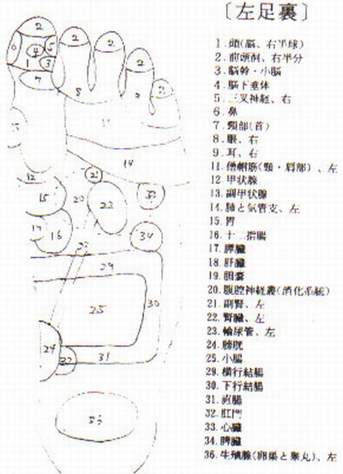左足裏指圧のポイント