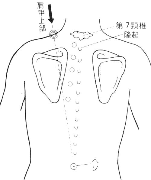 肩甲上部からへそへ向けて