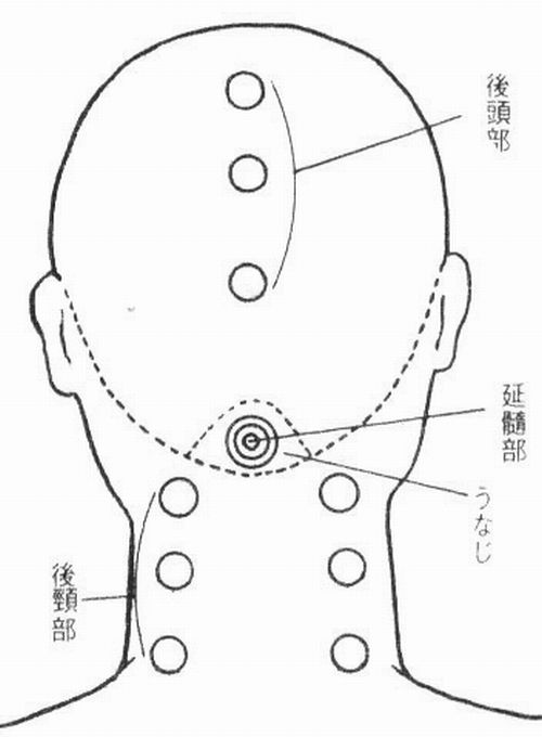 後頭部・延髄部・後頚部のポイント