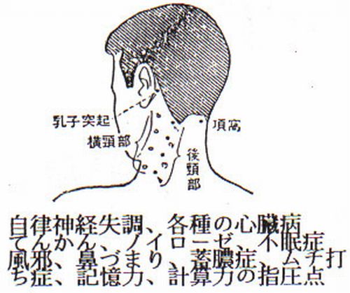 \横頚・後頚部の指圧ポイント