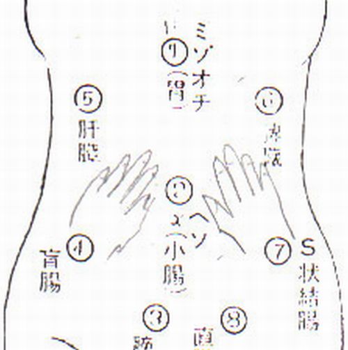 腹部の掌圧順番