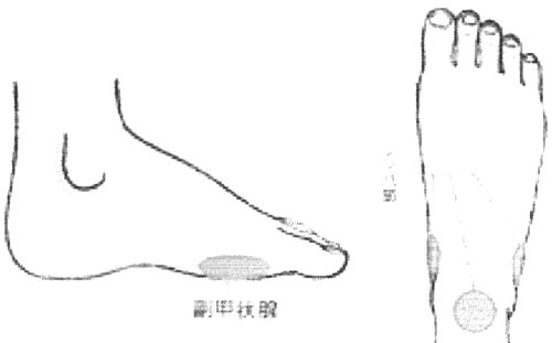 副甲状腺とリンパの反射区