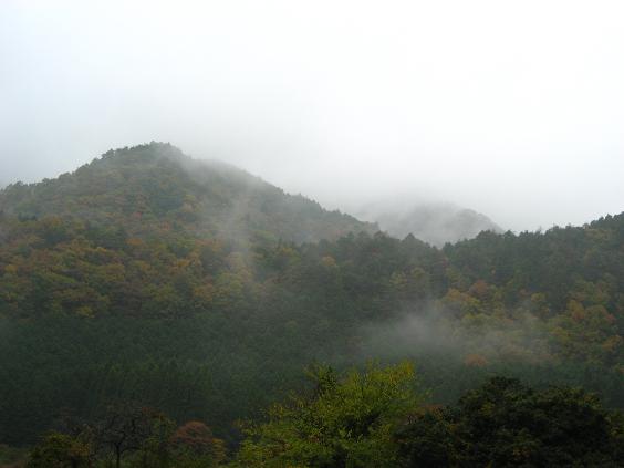 三千院近く５.JPG