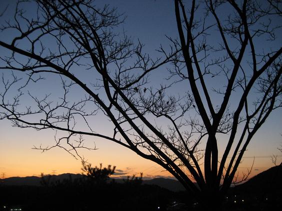 夕焼け1.JPG