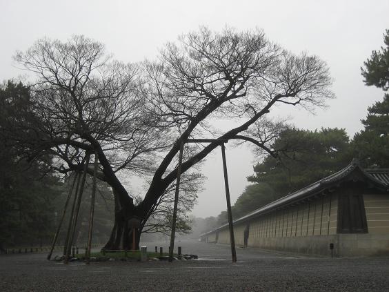 御所1.JPG