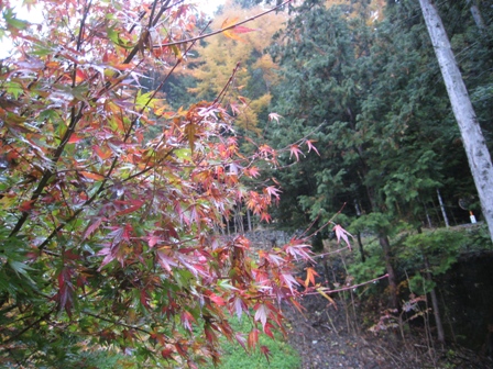 IMG_3502.jpg