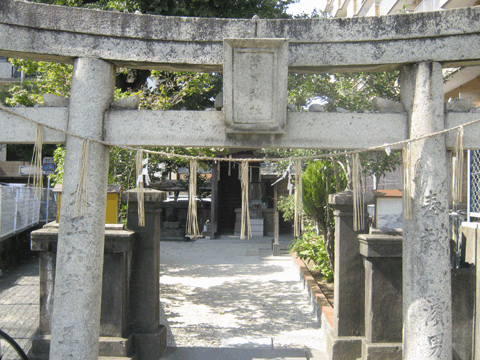 福岡の神社　濱男神社