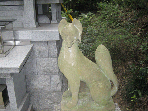 お稲荷　神使　白川恵比寿神社