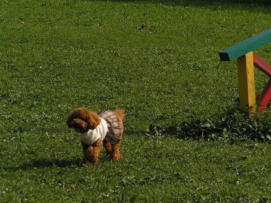 P1010106.JPG