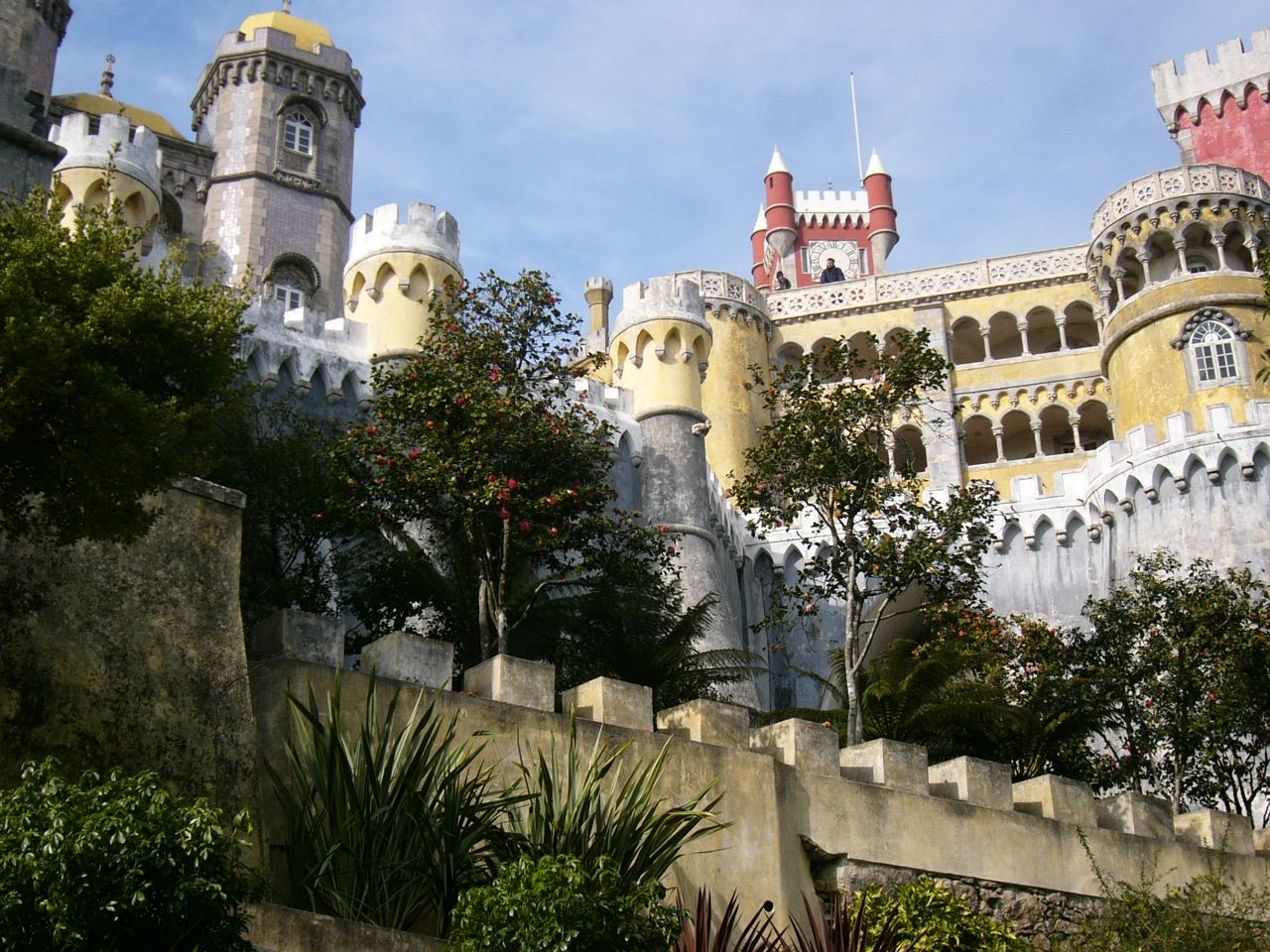 P1000450.JPG