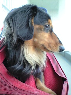 090209ミッキー4