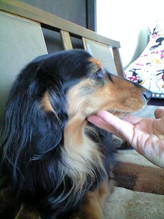 090212ミッキー1